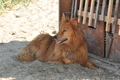 Hundestrand / Bild 146 von 376 / 20.09.2016 12:35 / DSC_9690.JPG