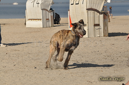 Hundestrand / Bild 147 von 376 / 20.09.2016 12:36 / DSC_9691.JPG