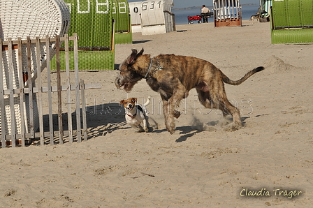 Hundestrand / Bild 148 von 376 / 20.09.2016 12:37 / DSC_9704.JPG