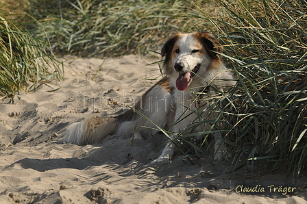 Hundestrand / Bild 151 von 376 / 20.09.2016 12:39 / DSC_9722.JPG