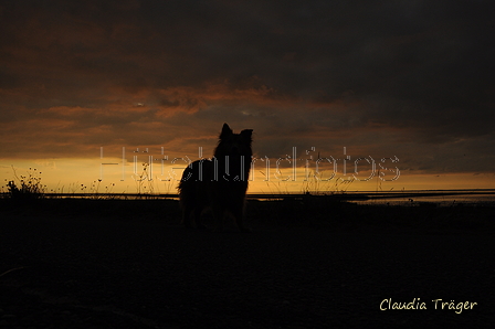 Hundestrand / Bild 158 von 376 / 20.09.2016 18:51 / DSC_4803.JPG