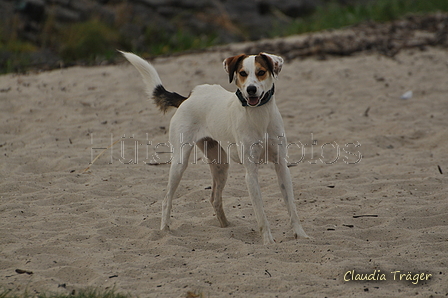 Hundestrand / Bild 167 von 376 / 21.09.2016 08:57 / DSC_9831.JPG