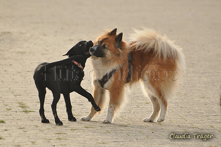 Hundestrand / Bild 173 von 376 / 21.09.2016 09:07 / DSC_9879.JPG