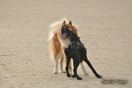 Hundestrand / Bild 175 von 376 / 21.09.2016 09:07 / DSC_9882.JPG