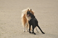 Hundestrand / Bild 175 von 376 / 21.09.2016 09:07 / DSC_9882.JPG