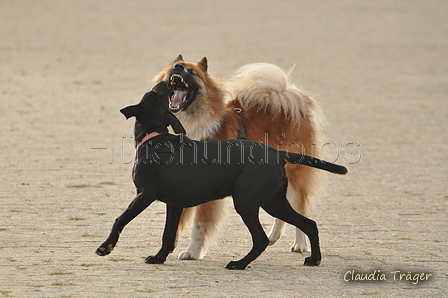 Hundestrand / Bild 176 von 376 / 21.09.2016 09:07 / DSC_9883.JPG