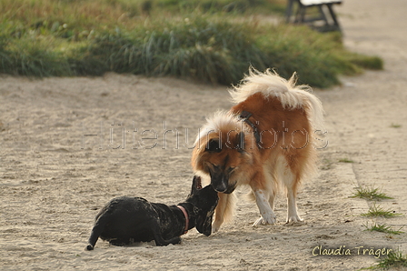 Hundestrand / Bild 182 von 376 / 21.09.2016 09:09 / DSC_9931.JPG