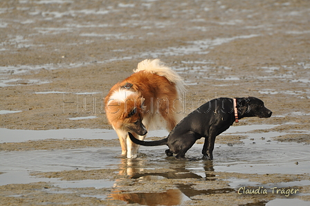 Hundestrand / Bild 183 von 376 / 21.09.2016 09:13 / DSC_9944.JPG