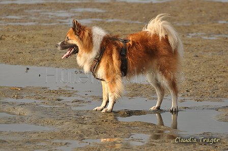 Hundestrand / Bild 184 von 376 / 21.09.2016 09:13 / DSC_9946.JPG