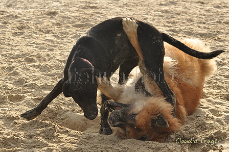 Hundestrand / Bild 191 von 376 / 21.09.2016 09:17 / DSC_9972.JPG