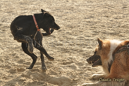 Hundestrand / Bild 193 von 376 / 21.09.2016 09:17 / DSC_9974.JPG