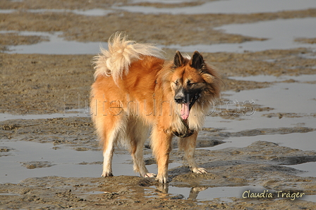 Hundestrand / Bild 195 von 376 / 21.09.2016 09:19 / DSC_9987.JPG