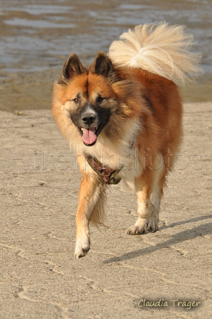 Hundestrand / Bild 196 von 376 / 21.09.2016 09:19 / DSC_9995.JPG