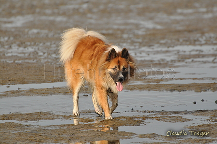 Hundestrand / Bild 197 von 376 / 21.09.2016 09:21 / DSC_0011.JPG