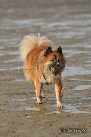 Hundestrand / Bild 199 von 376 / 21.09.2016 09:23 / DSC_0017.JPG