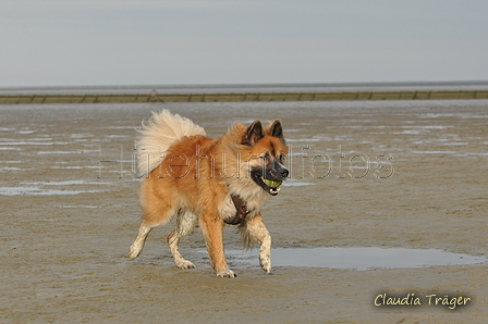 Hundestrand / Bild 201 von 376 / 21.09.2016 09:24 / DSC_0029.JPG