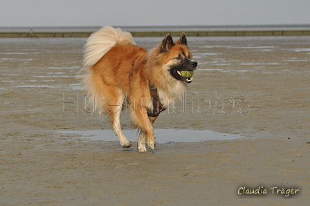 Hundestrand / Bild 202 von 376 / 21.09.2016 09:24 / DSC_0030.JPG