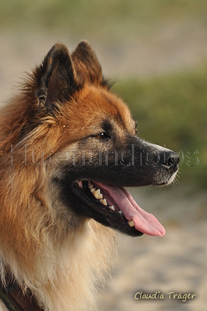 Hundestrand / Bild 211 von 376 / 21.09.2016 09:28 / DSC_0063.JPG