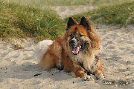 Hundestrand / Bild 213 von 376 / 21.09.2016 09:28 / DSC_0070.JPG