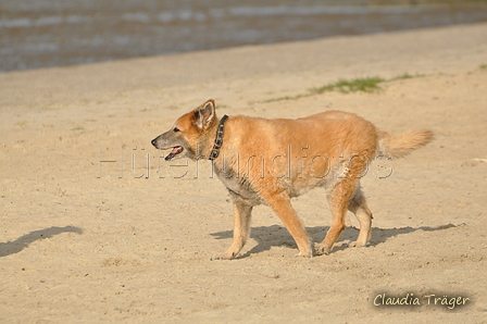 Hundestrand / Bild 218 von 376 / 21.09.2016 09:34 / DSC_0099.JPG