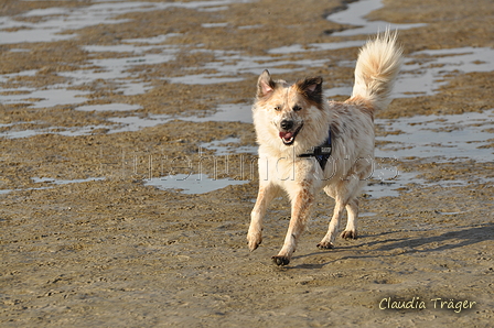 Hundestrand / Bild 220 von 376 / 21.09.2016 09:41 / DSC_0135.JPG