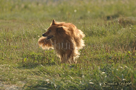 Hundestrand / Bild 223 von 376 / 21.09.2016 09:42 / DSC_0153.JPG