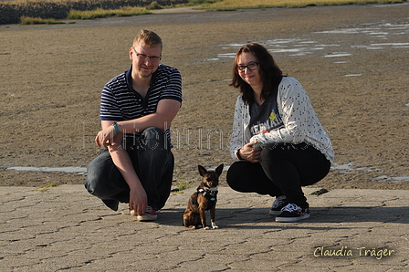 Hundestrand / Bild 239 von 376 / 21.09.2016 10:07 / DSC_0295.JPG