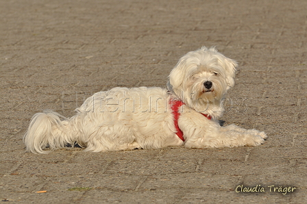 Hundestrand / Bild 243 von 376 / 21.09.2016 10:12 / DSC_0327.JPG