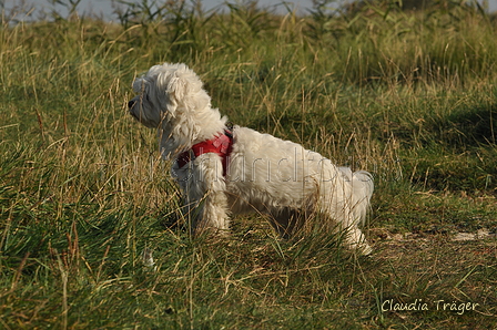 Hundestrand / Bild 249 von 376 / 21.09.2016 10:21 / DSC_0378.JPG