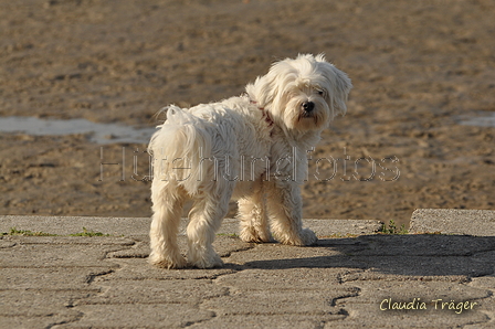 Hundestrand / Bild 250 von 376 / 21.09.2016 10:22 / DSC_0387.JPG