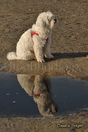 Hundestrand / Bild 253 von 376 / 21.09.2016 10:25 / DSC_0399.JPG