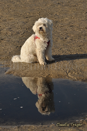 Hundestrand / Bild 255 von 376 / 21.09.2016 10:26 / DSC_0409.JPG