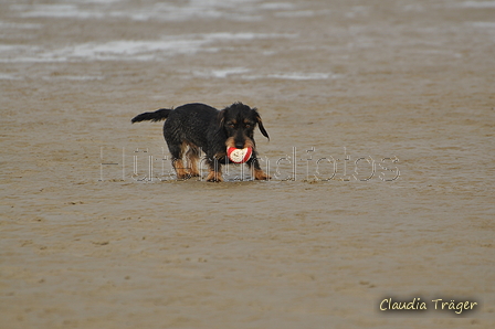 Hundestrand / Bild 258 von 376 / 21.09.2016 10:45 / DSC_0426.JPG