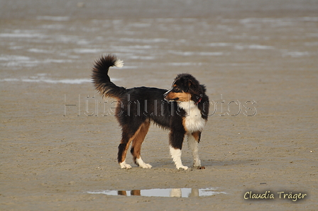 Hundestrand / Bild 260 von 376 / 21.09.2016 11:02 / DSC_0446.JPG