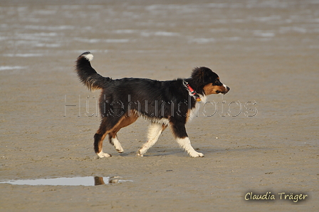 Hundestrand / Bild 261 von 376 / 21.09.2016 11:02 / DSC_0447.JPG