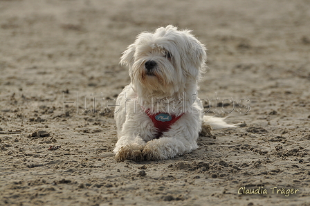 Hundestrand / Bild 265 von 376 / 21.09.2016 11:05 / DSC_0465.JPG