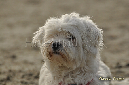 Hundestrand / Bild 266 von 376 / 21.09.2016 11:05 / DSC_0468.JPG