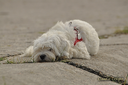 Hundestrand / Bild 267 von 376 / 21.09.2016 11:10 / DSC_0474.JPG