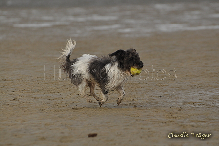 Hundestrand / Bild 271 von 376 / 21.09.2016 11:14 / DSC_0500.JPG