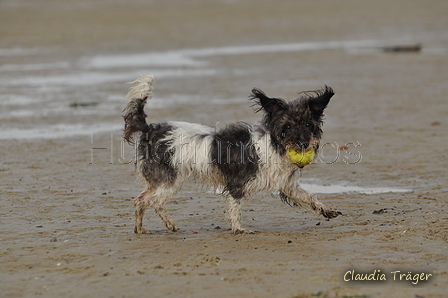 Hundestrand / Bild 273 von 376 / 21.09.2016 11:14 / DSC_0507.JPG