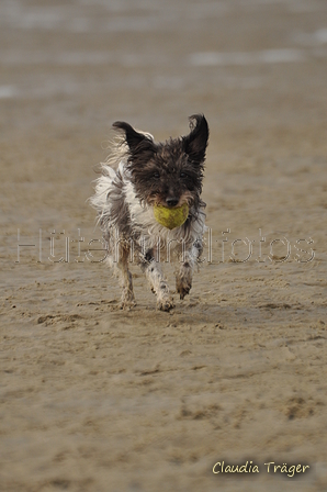 Hundestrand / Bild 276 von 376 / 21.09.2016 11:16 / DSC_0538.JPG