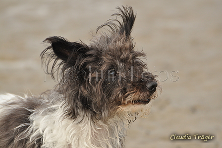 Hundestrand / Bild 280 von 376 / 21.09.2016 11:19 / DSC_0586.JPG