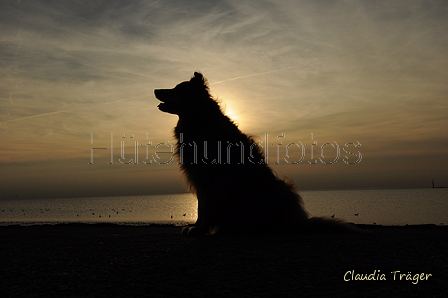 Hundestrand / Bild 288 von 376 / 21.09.2016 18:36 / DSC_5188.JPG