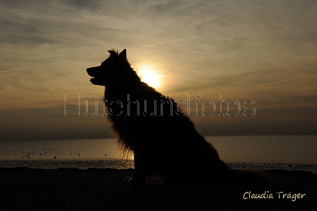 Hundestrand / Bild 289 von 376 / 21.09.2016 18:38 / DSC_5194.JPG