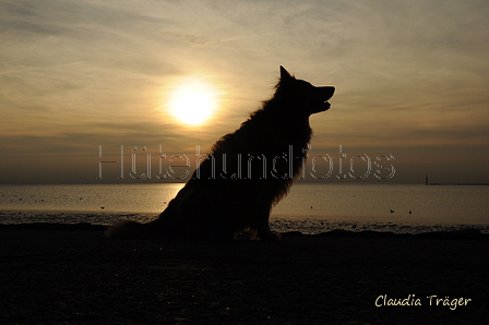 Hundestrand / Bild 292 von 376 / 21.09.2016 18:41 / DSC_5216.JPG