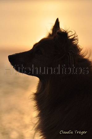 Hundestrand / Bild 293 von 376 / 21.09.2016 18:54 / DSC_0726.JPG