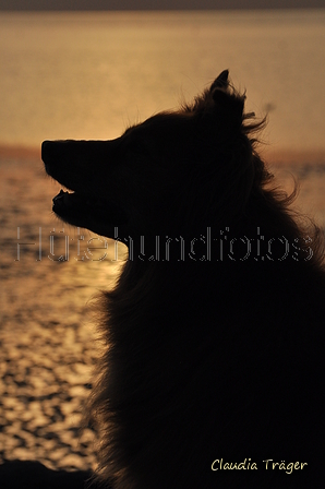 Hundestrand / Bild 296 von 376 / 21.09.2016 18:56 / DSC_0742.JPG