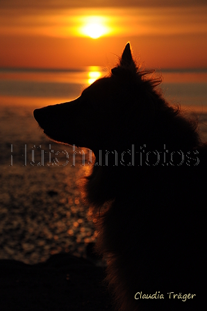 Hundestrand / Bild 298 von 376 / 21.09.2016 19:16 / DSC_5293.JPG