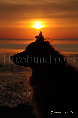 Hundestrand / Bild 299 von 376 / 21.09.2016 19:17 / DSC_5300.JPG