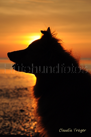 Hundestrand / Bild 300 von 376 / 21.09.2016 19:18 / DSC_5304.JPG